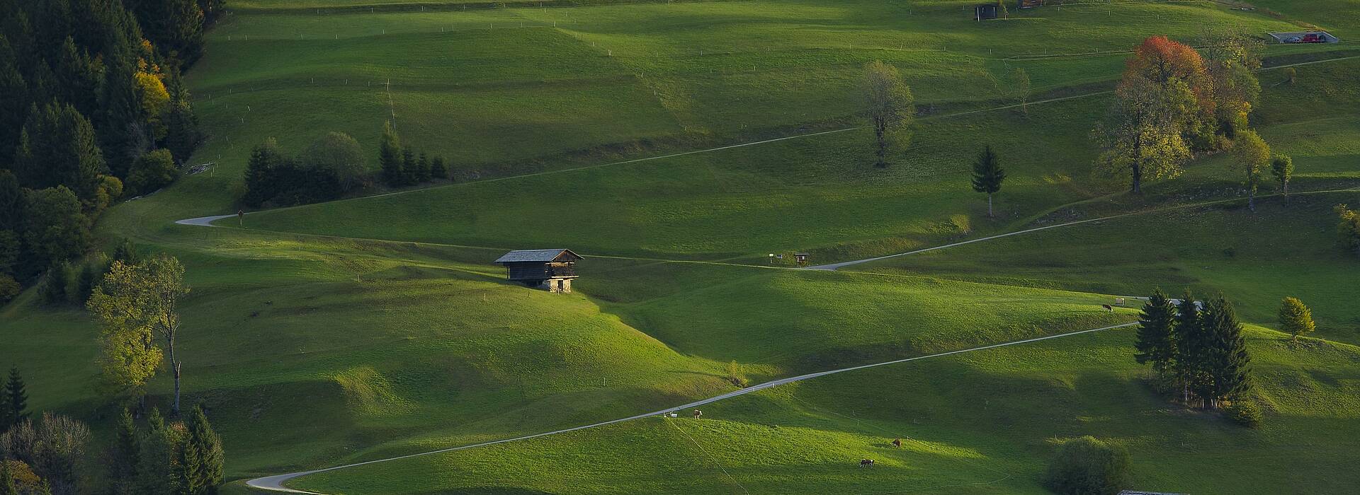 Landschaft im Lesachtal